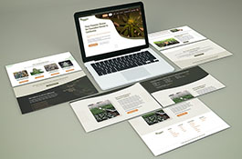 Homegrown Nursery Website and SEO